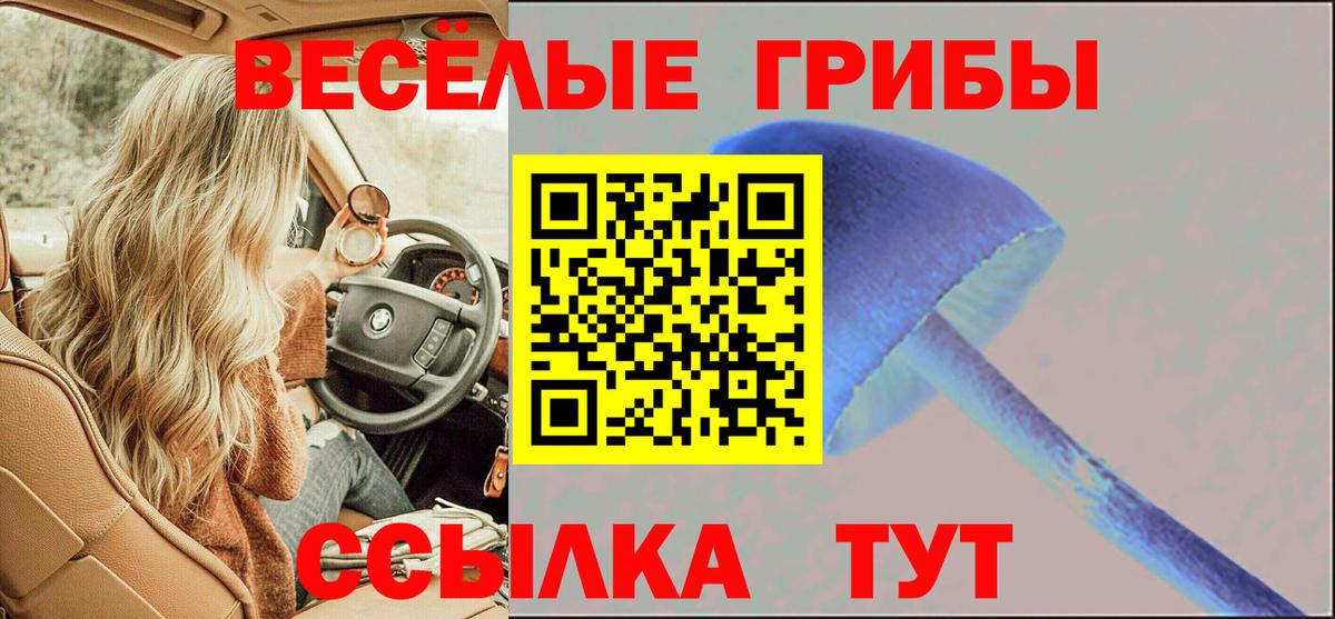Псилоцибиновые грибы Cubensis Протвино