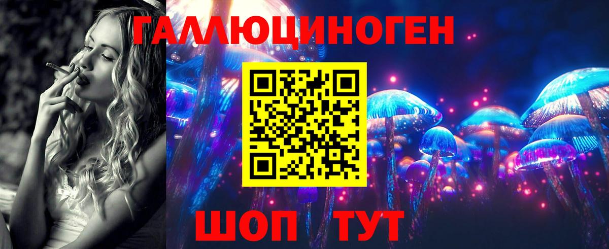 Псилоцибиновые грибы GOLDEN TEACHER  Вход с VPN  Протвино 